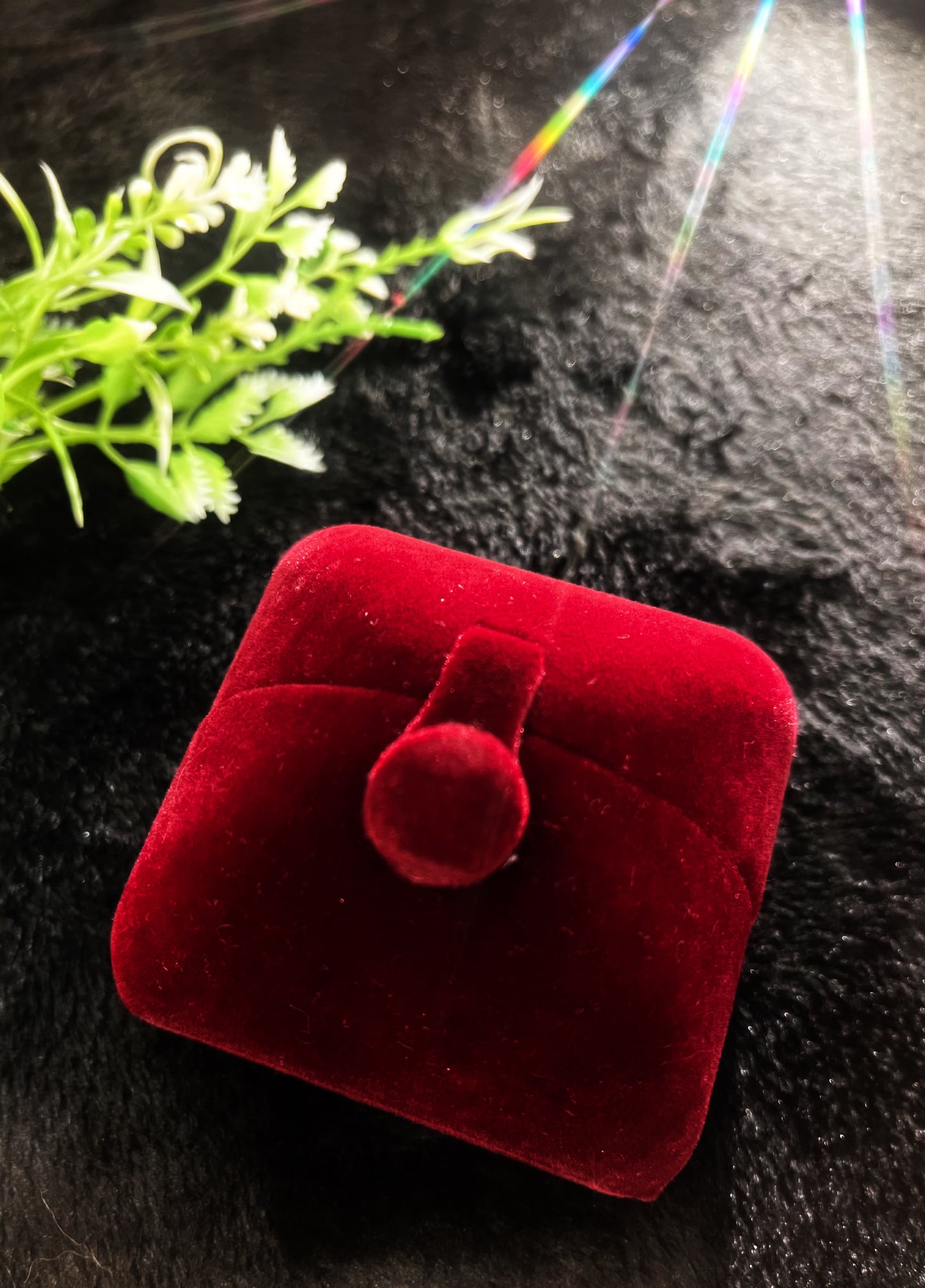 Fashion Earrings - Mignonne Studio High Quality cherry-pick